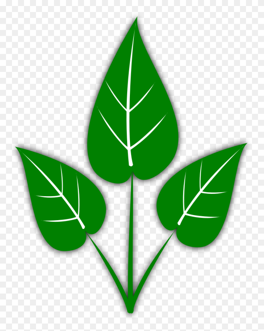 Leaves Clipart Brown Leaf - Fall Le