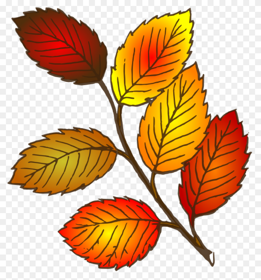 Leaves Clipart Brown Leaf - Fall Le