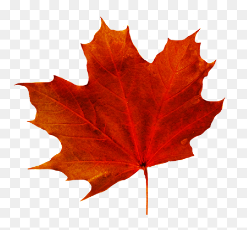 Leaves Clipart Brown Leaf Fall - Leaves