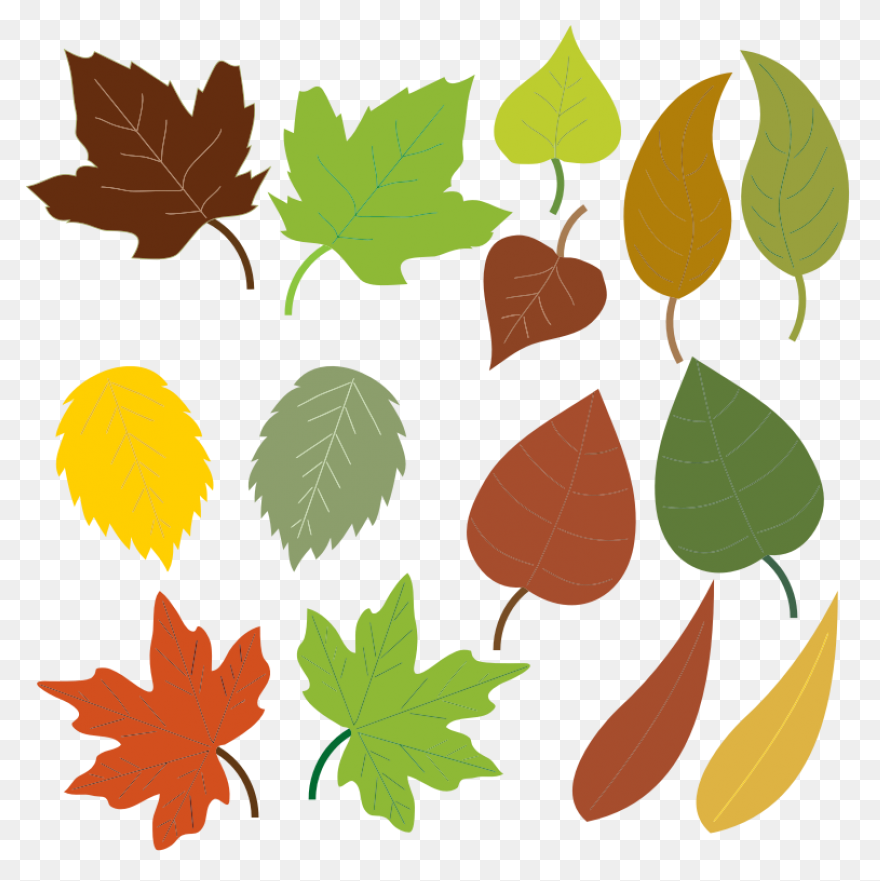 Leaves Clipart Brown Leaf - Fall Le