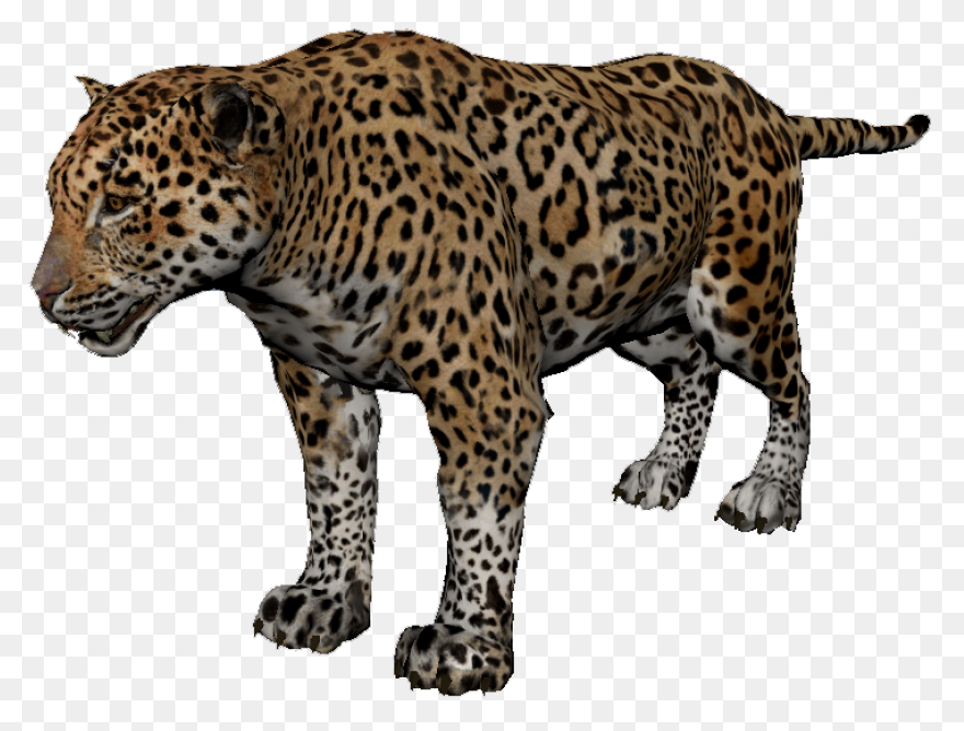 Sitting Leopard - ClipartFlare