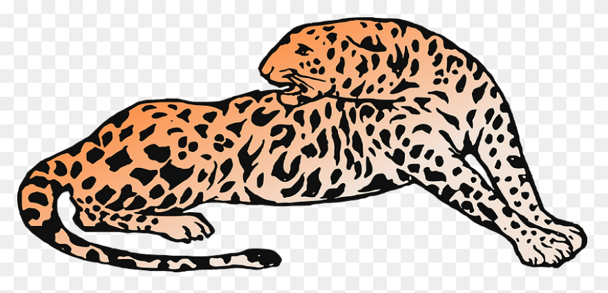 Sitting Leopard - ClipartFlare