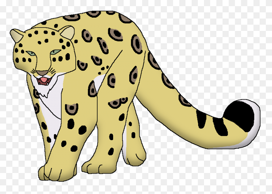 Snow Leopard | Wildlife Animal - Leopard