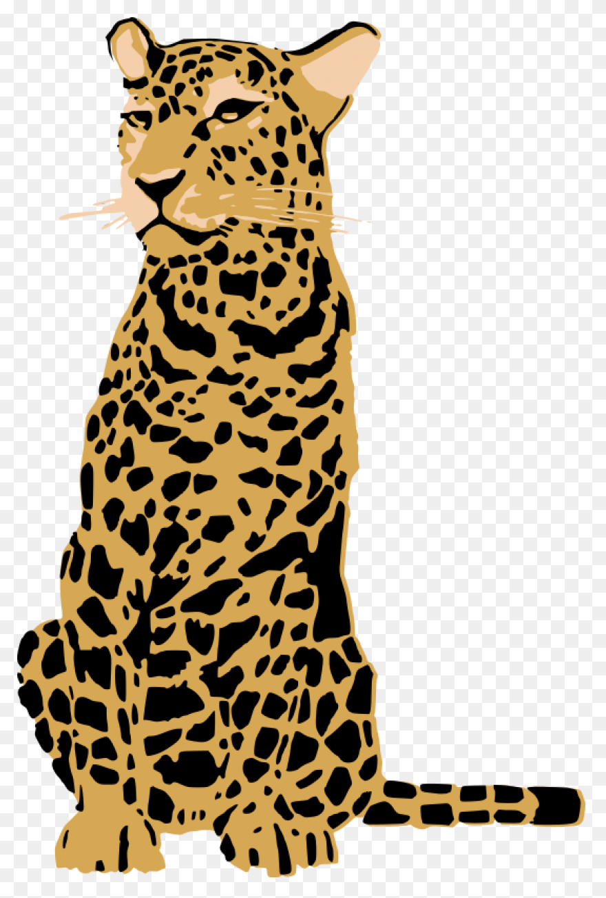 Sitting Leopard  - Leopard