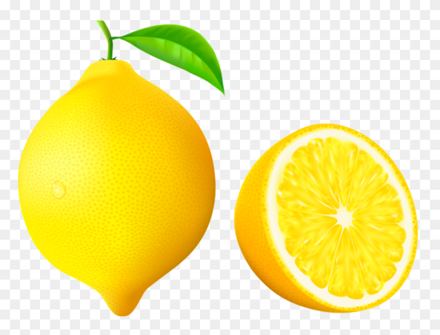 Gallery Recent Updates | Lemon - Lemon