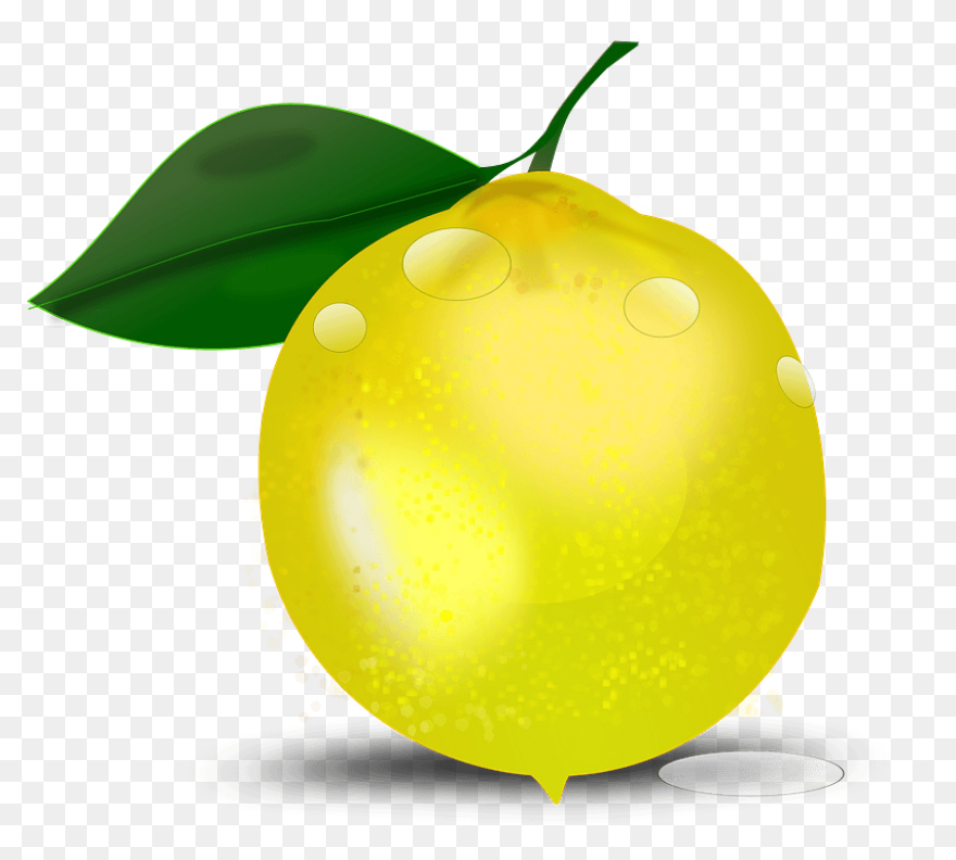 Gallery - Recent Updates | Lemon Cl
