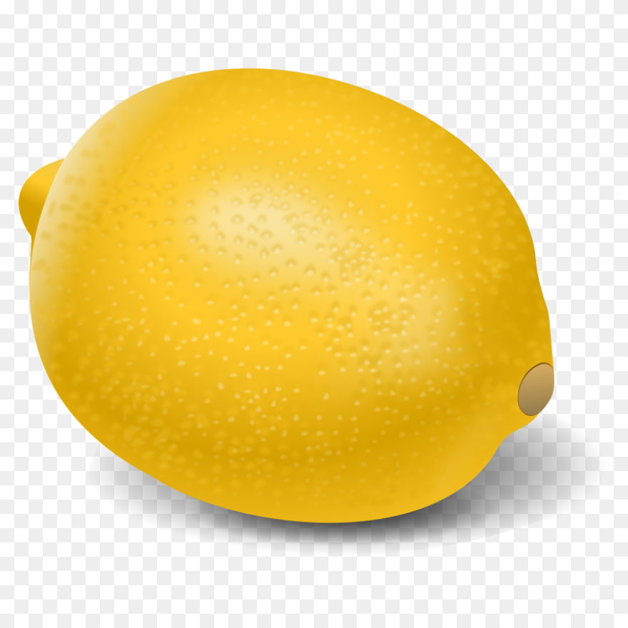 Gallery - Recent Updates | Lemon Cl