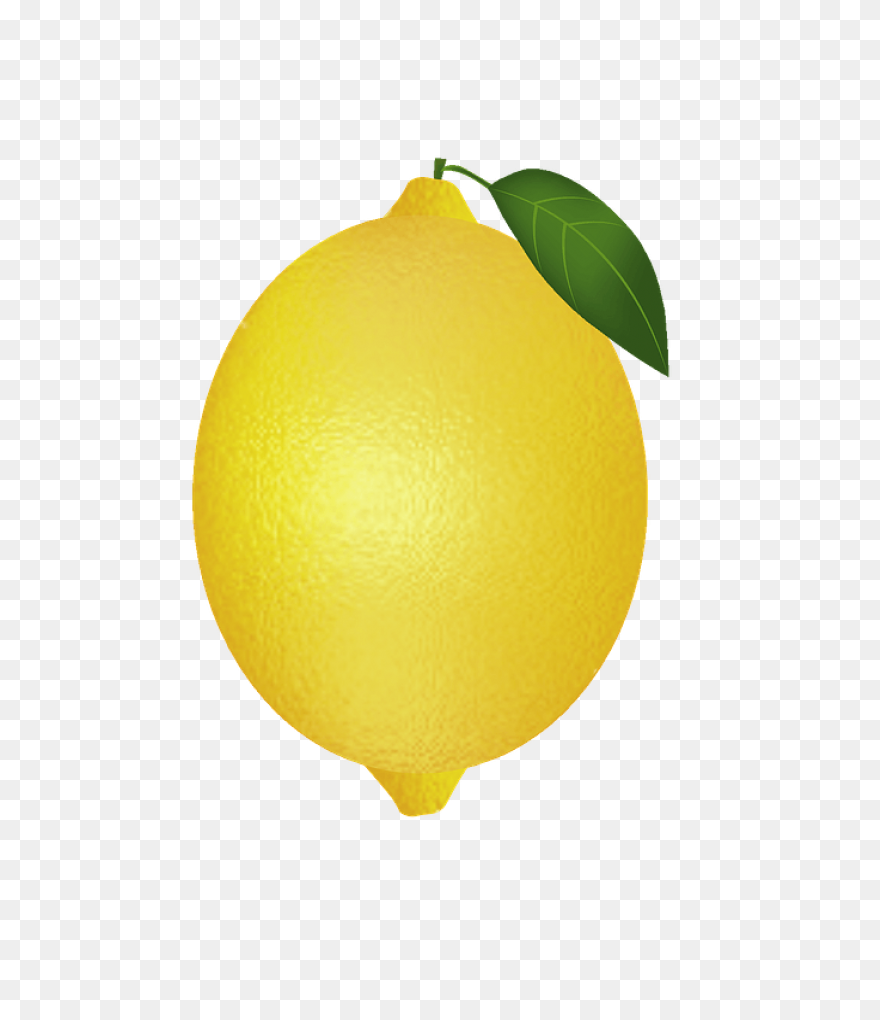 Gallery - Recent Updates | Lemon Cl