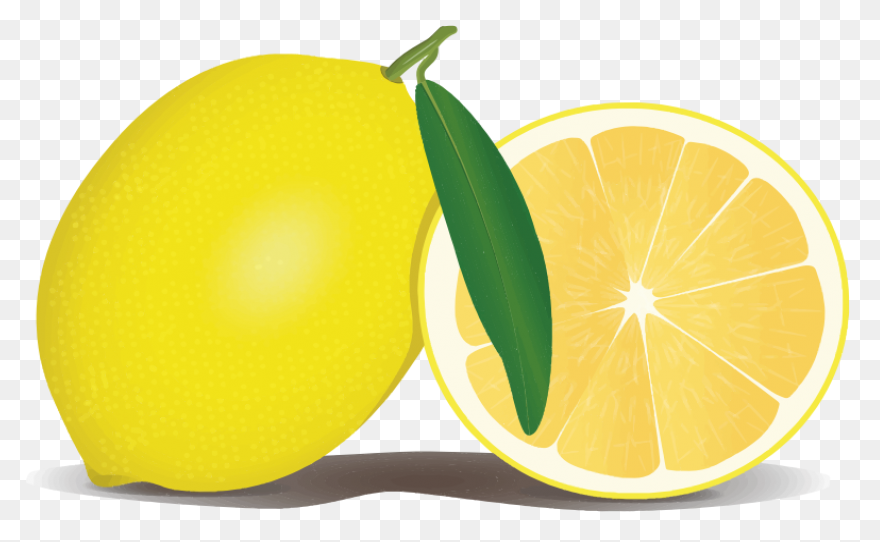 Gallery - Recent Updates | Lemon Cl