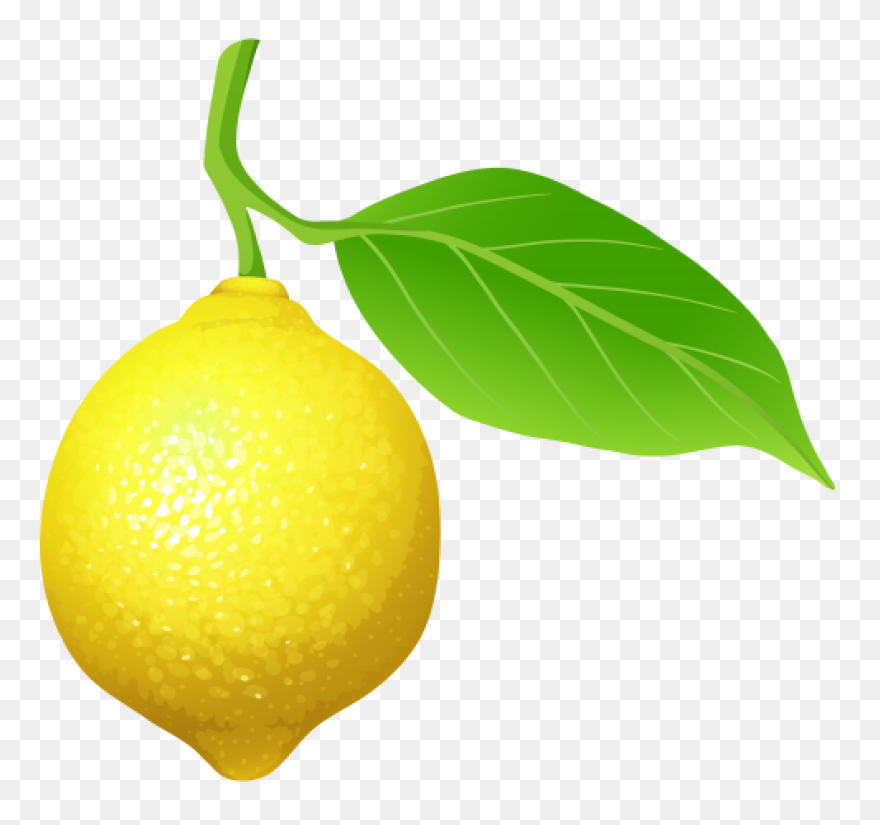 Gallery - Recent Updates | Lemon Cl