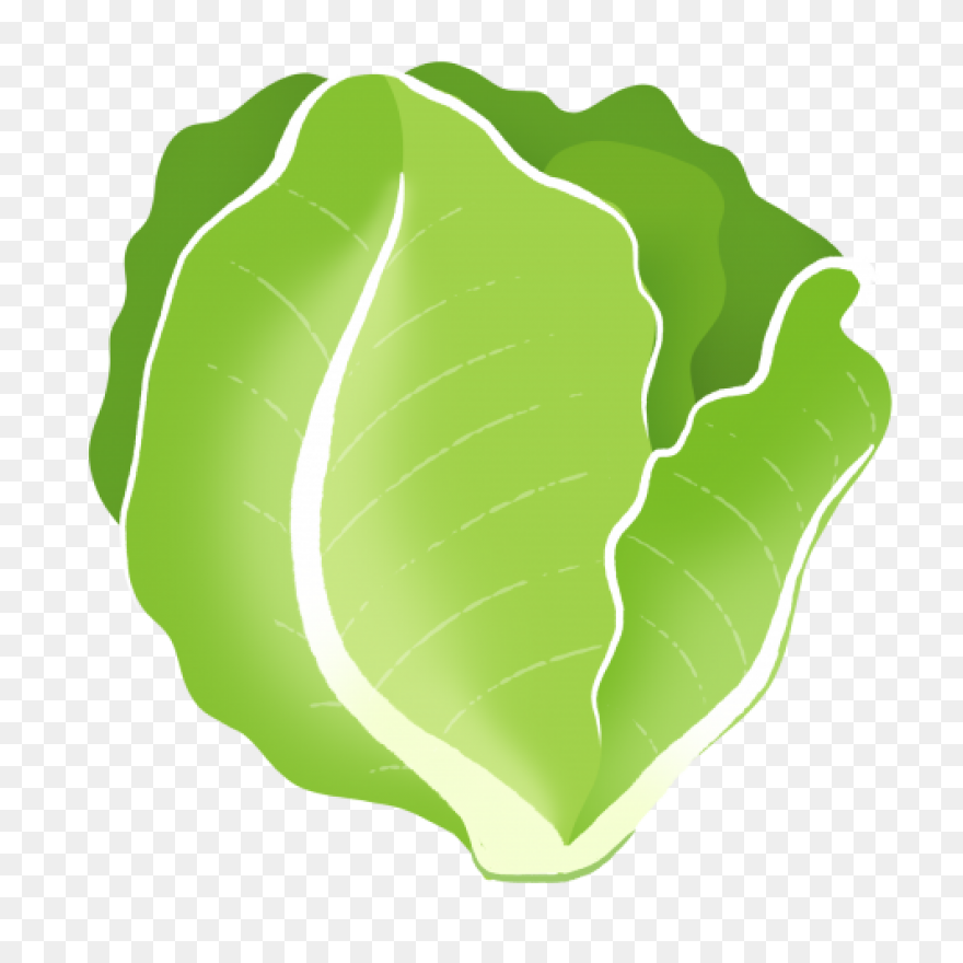 Green Salad Leaf | Free PNG-WebP