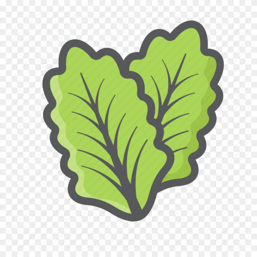 Green Salad Leaf | Free PNG-WebP
