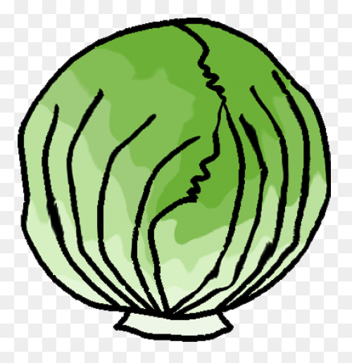 Free Head Of Lettuce  - Lettuce