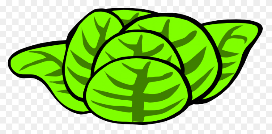 Green Salad Leaf | Free PNG-WebP