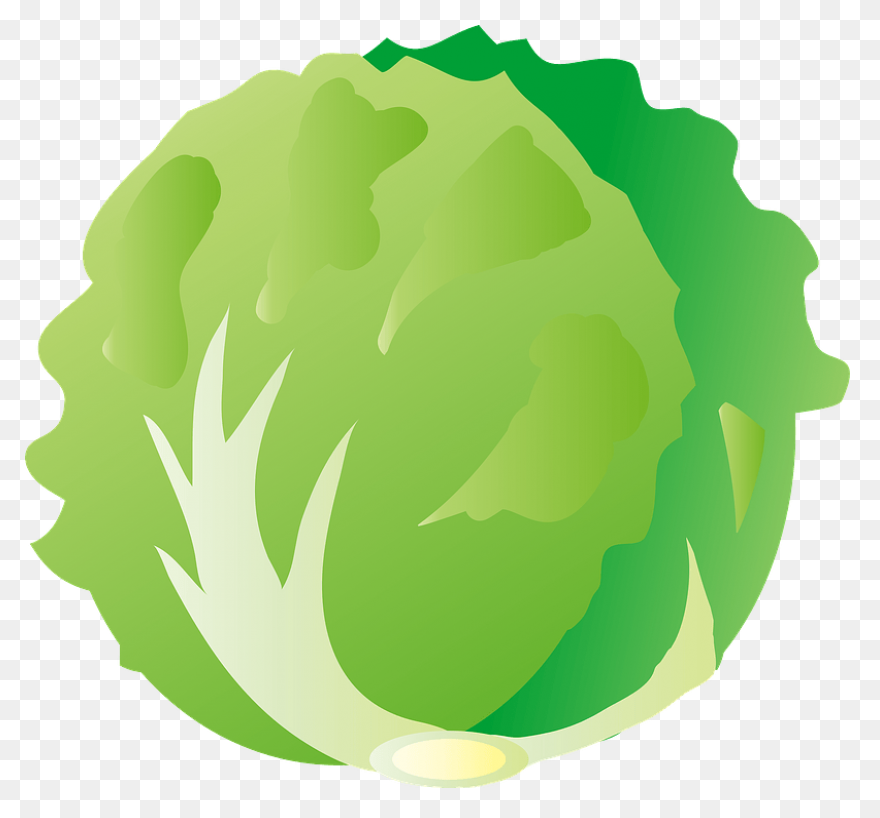 Green Salad Leaf | Free PNG-WebP