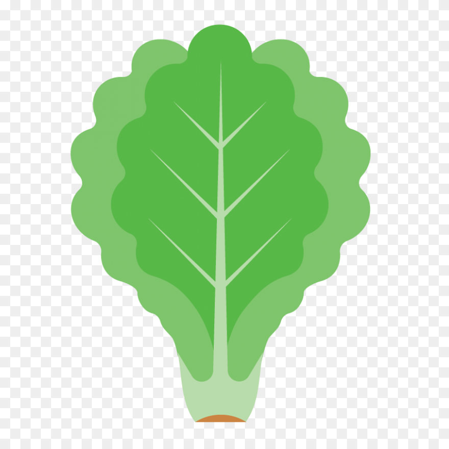 Green Salad Leaf | Free PNG-WebP