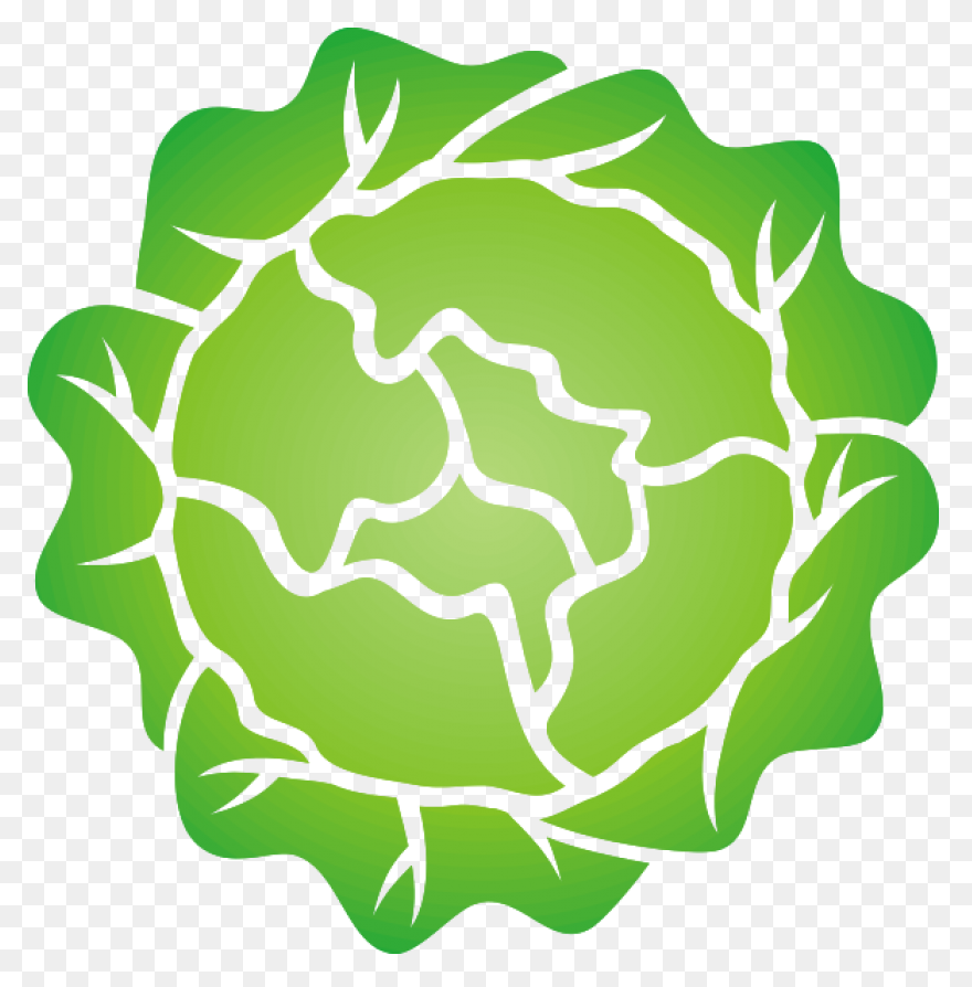 Green Salad Leaf | Free PNG-WebP