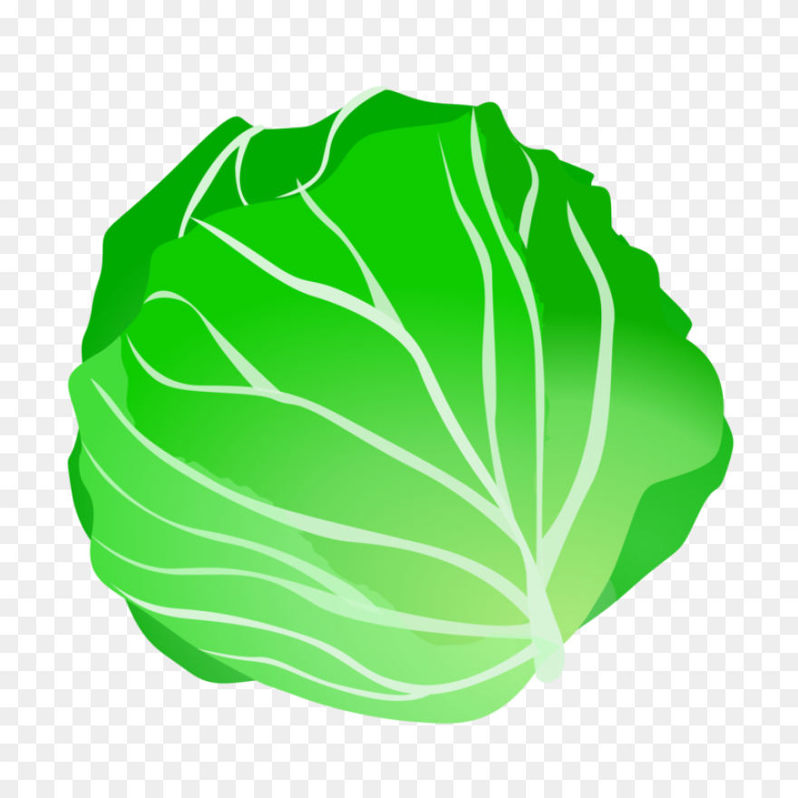 Green Salad Leaf | Free PNG-WebP