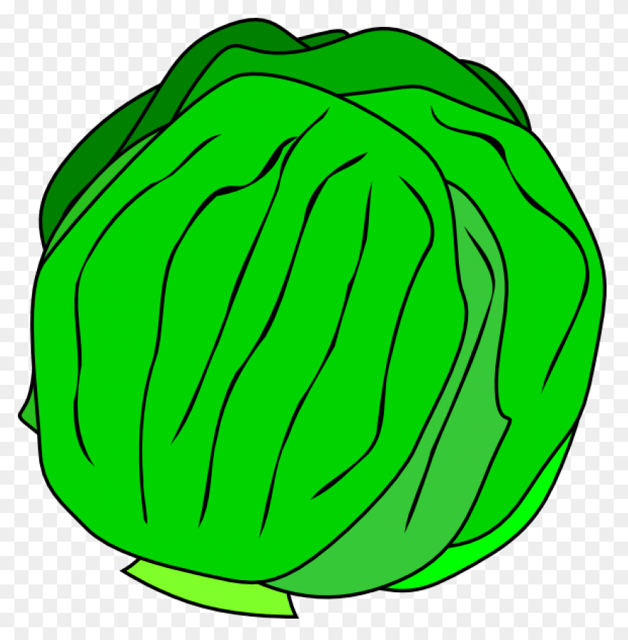 Green Salad Leaf | Free PNG-WebP