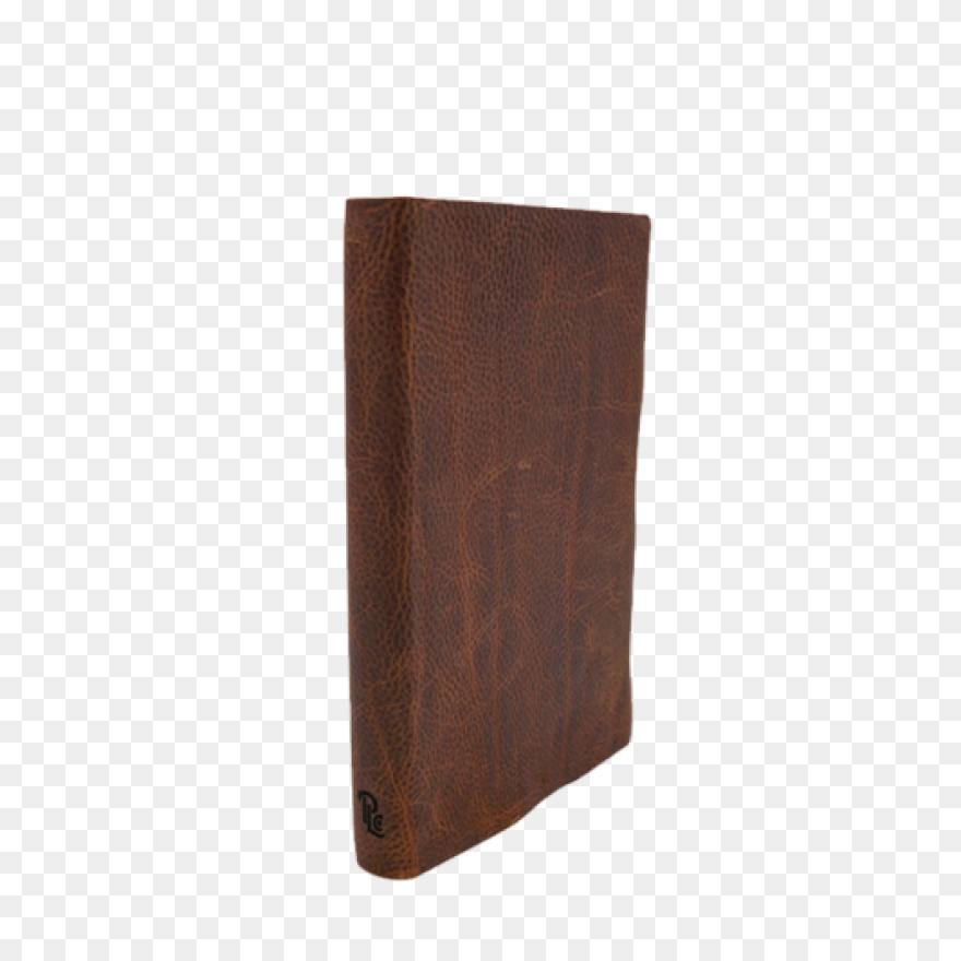 Nlt Thinline Reference (Filament) Bible - Leather