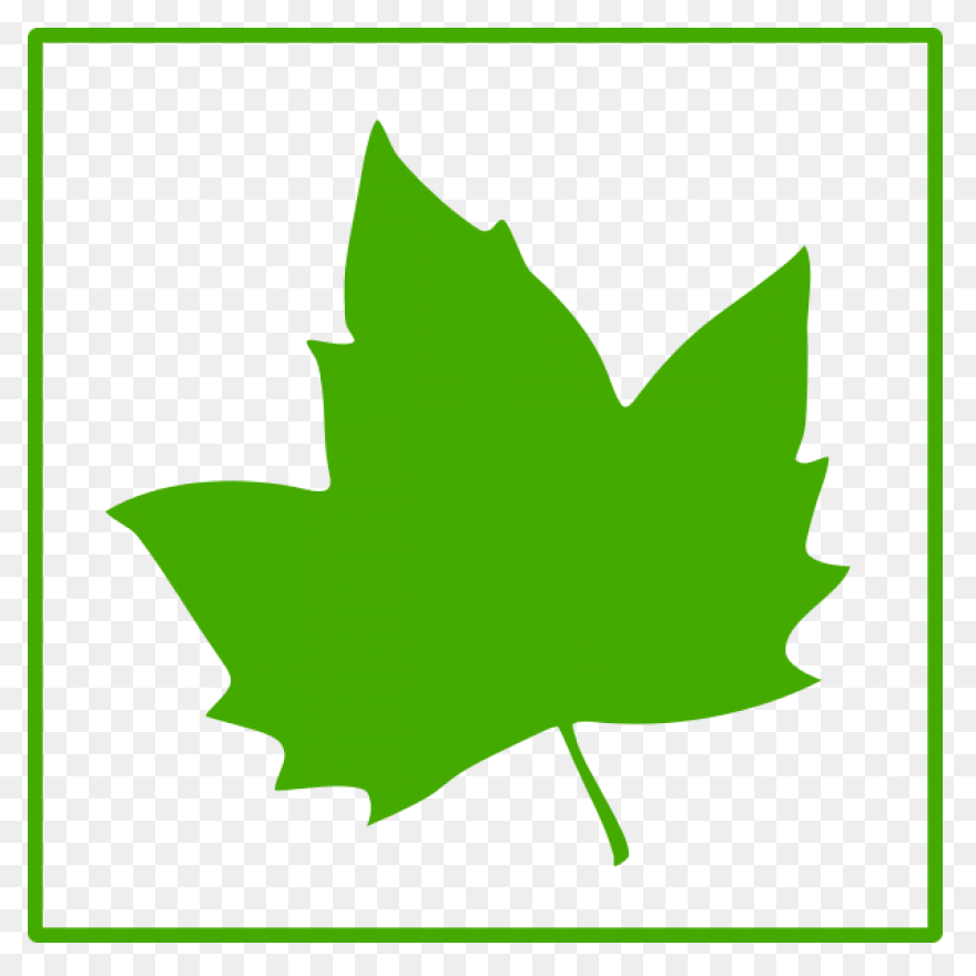 Free Green Leaf Icon, Download Free