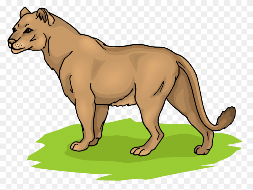 Lioness Ray By Albinoraven666Fanart