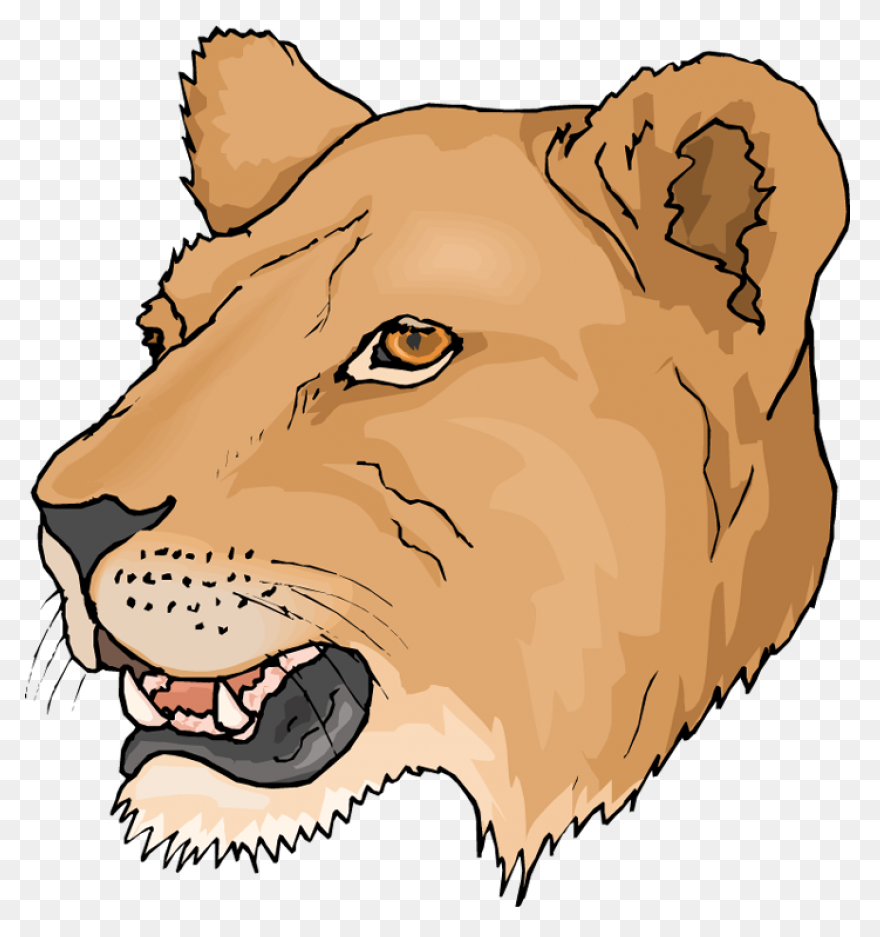 Lioness Clipart  - Lioness