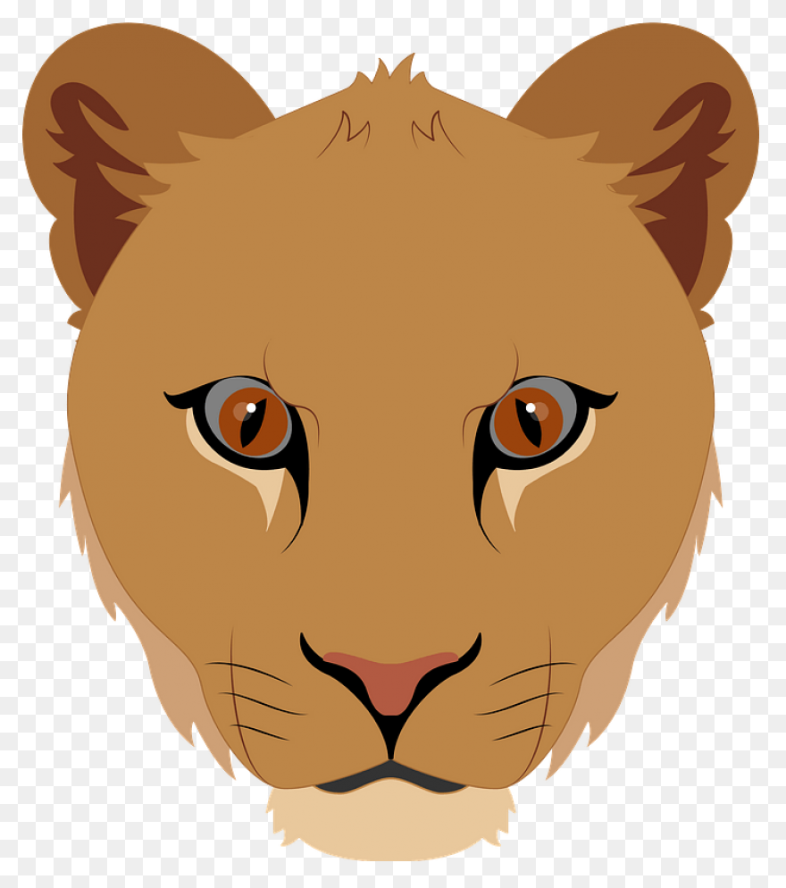 Lioness Ray By Albinoraven666Fanart