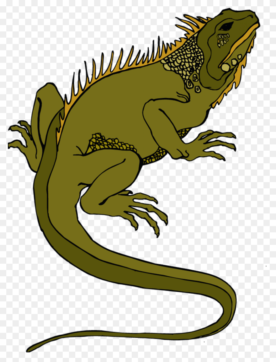 Free Lizard Clipart 2 - ClipartFlar