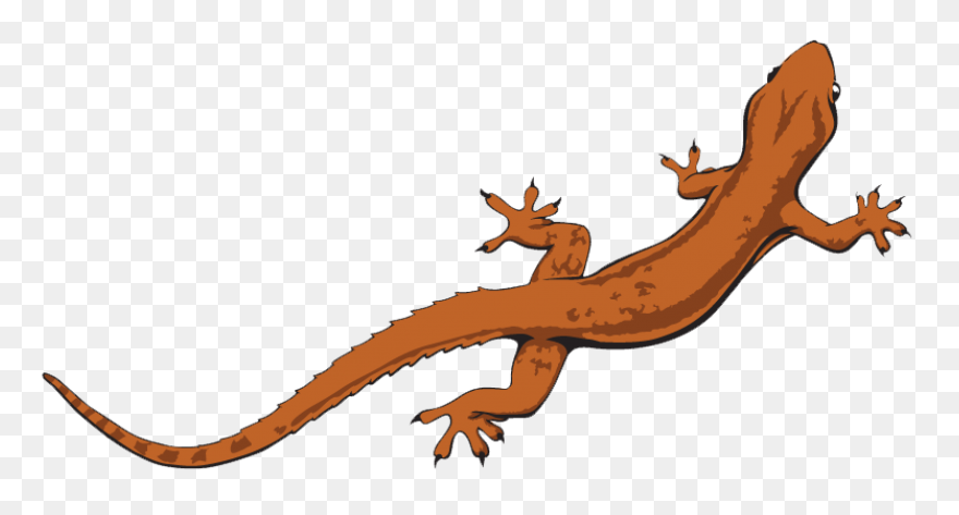 Free Lizard Clipart 2 - ClipartFlar