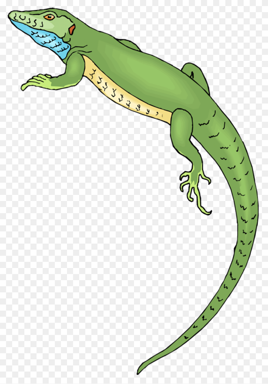 Free Lizard Clipart 2  - Lizard
