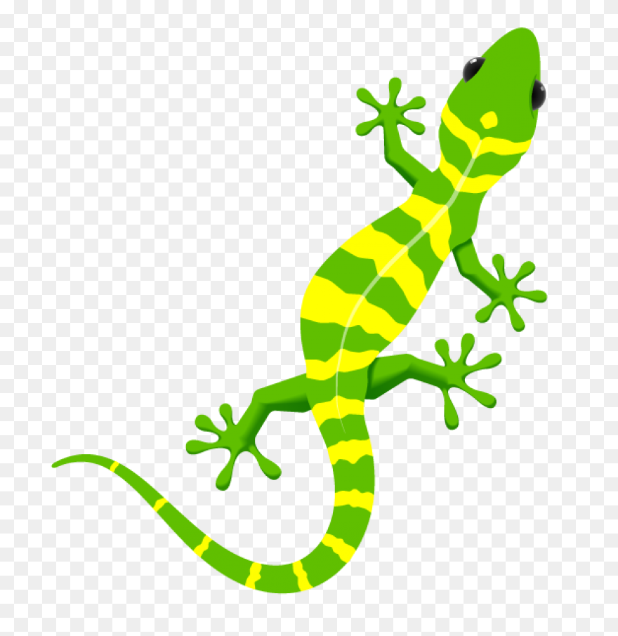 Free Lizard Clipart 2 - ClipartFlar