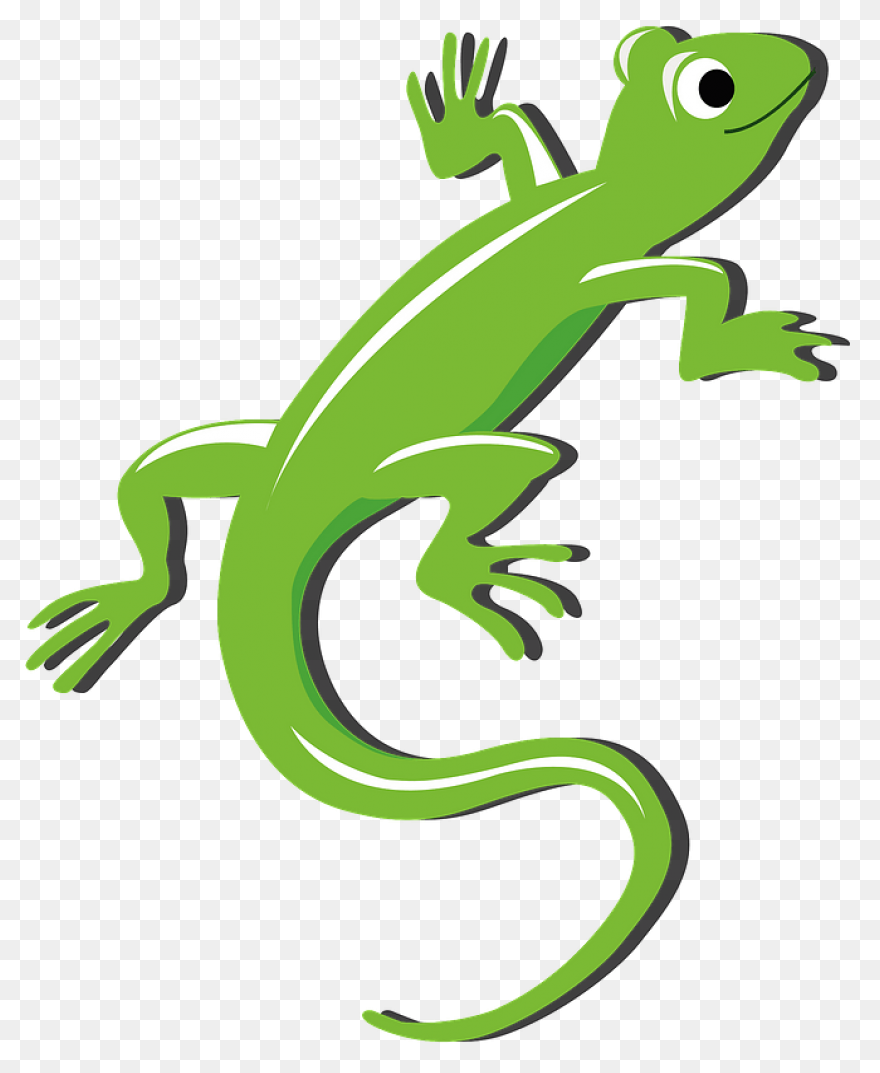 Free Lizard Clipart 2 - ClipartFlar