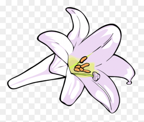 Easy Drawing Of Lily Clipart - Full