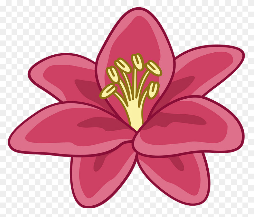 Easy Drawing Of Lily Clipart - Full