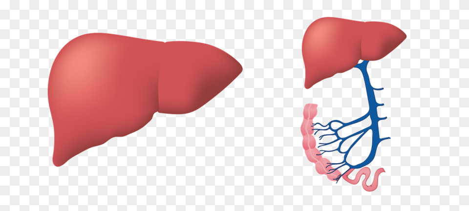 Takeda And Hemoshear Enter Partners
