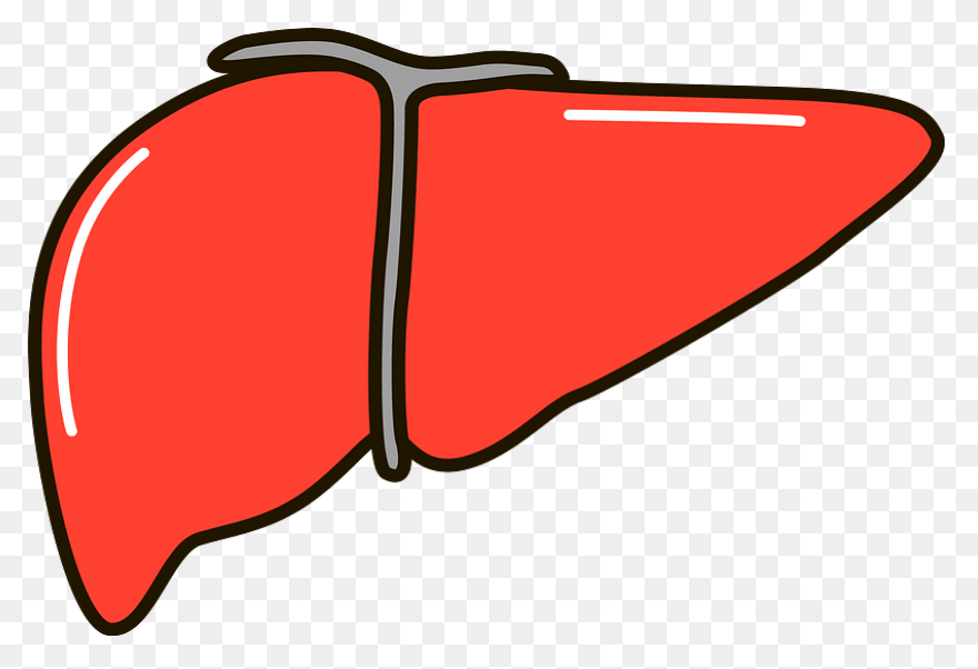 Takeda And Hemoshear Enter Partnership - Liver