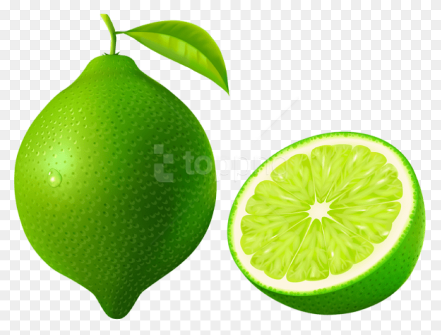 Lime Slice Clip Art At ClipartFlare