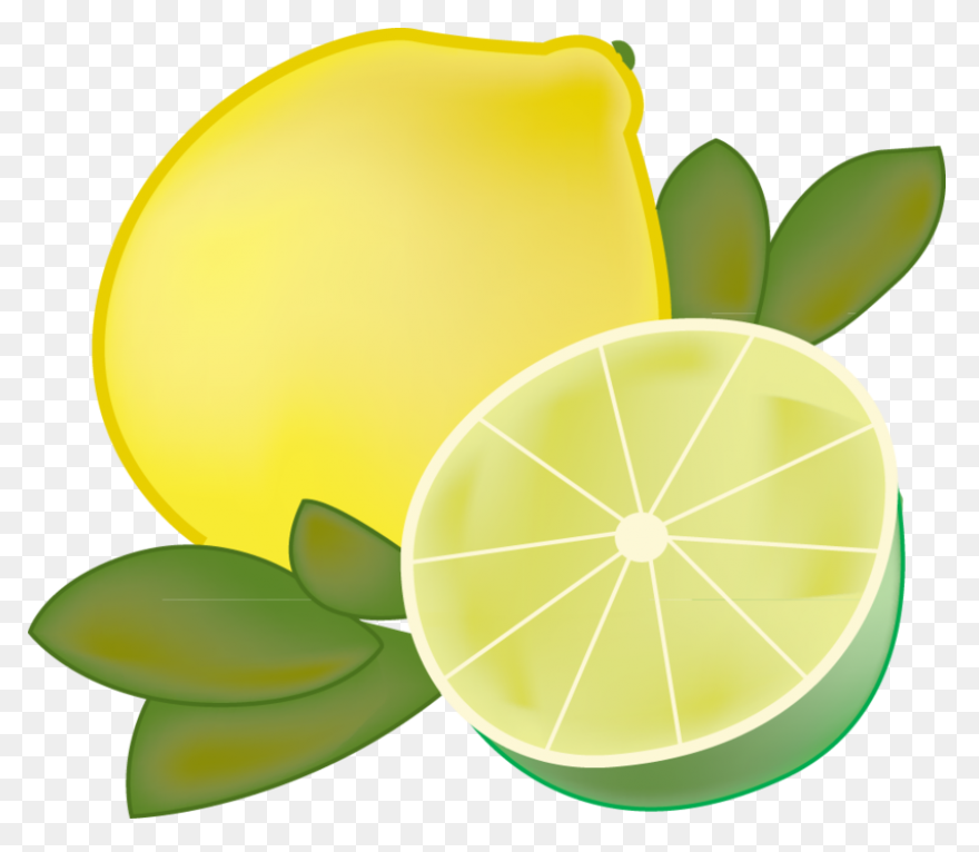 Lime Slice Clip Art At ClipartFlare