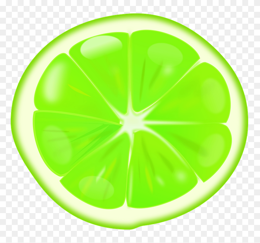 Lime Slice Clip Art At ClipartFlare