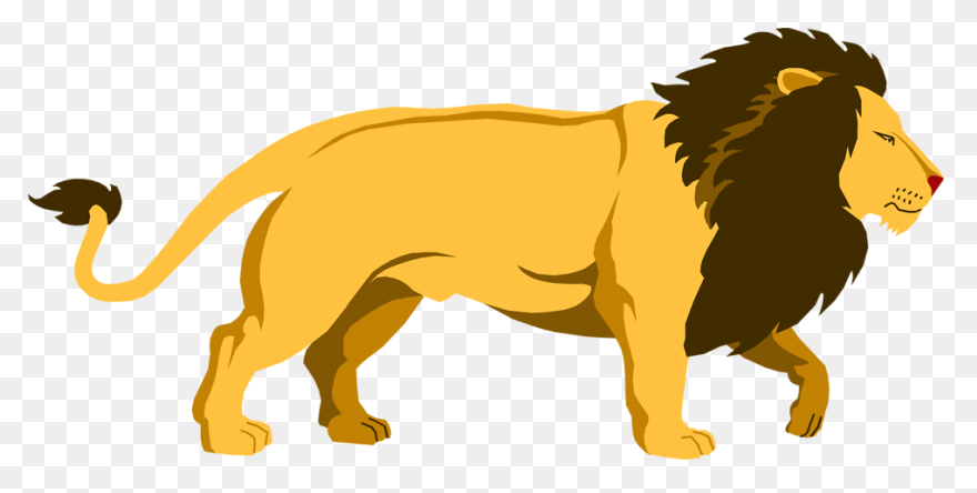 Lion Head Lion Logo Png Hd - Free D