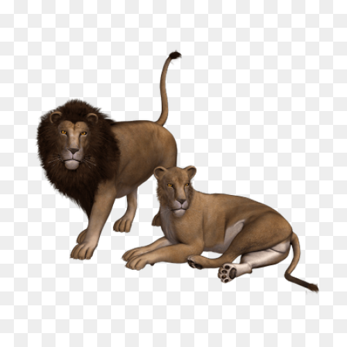 Lion Head Lion Logo Png Hd - Free D