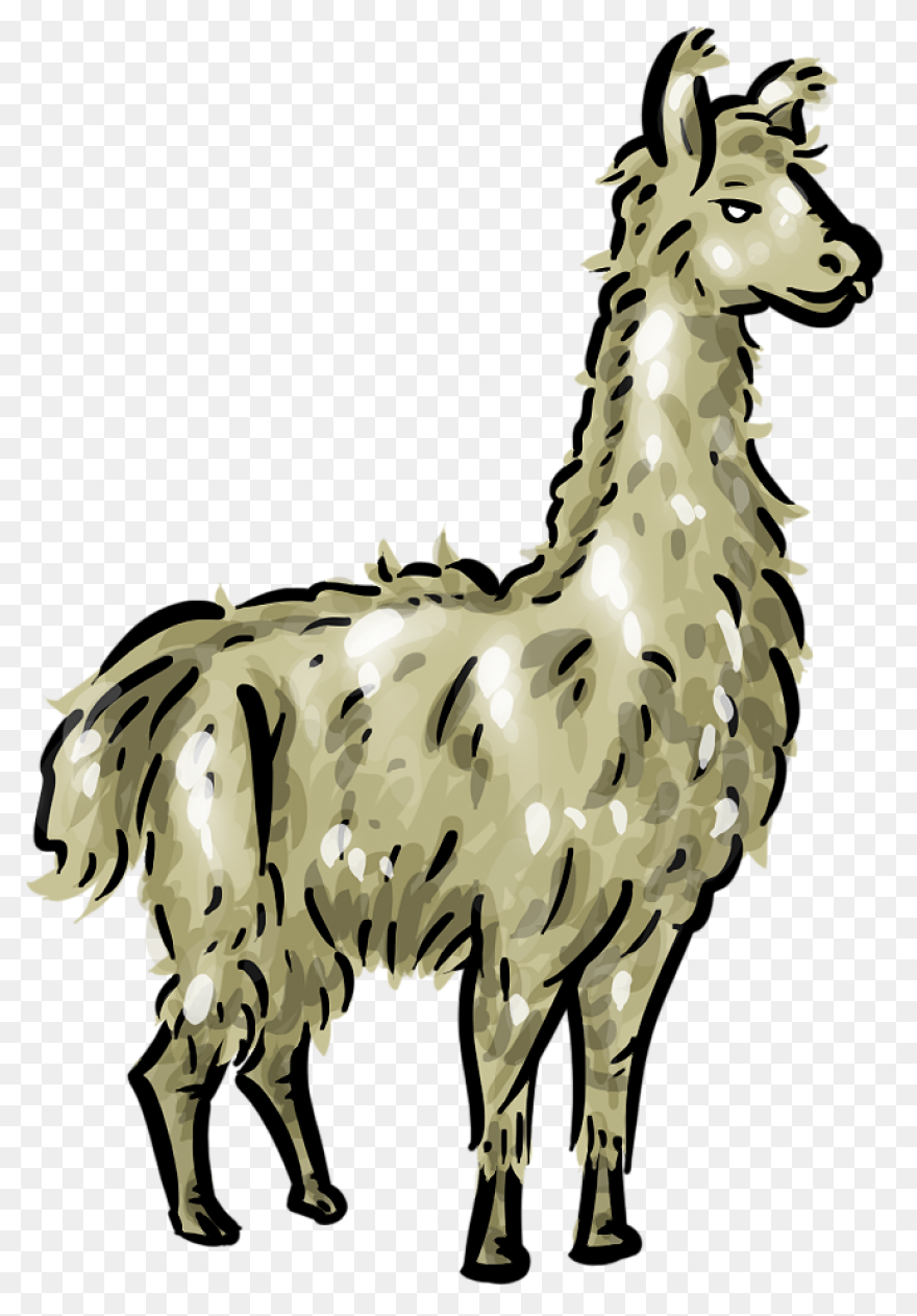 Llama Alpaca Animal - Free Vector G