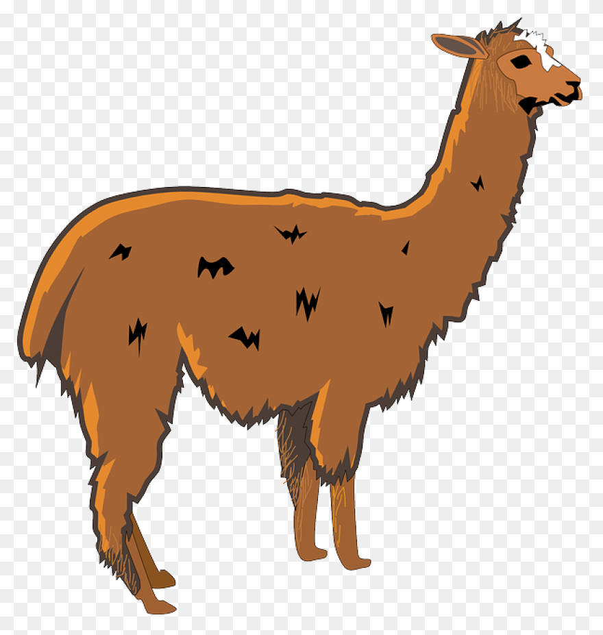 Llama Alpaca Animal - Free Vector G