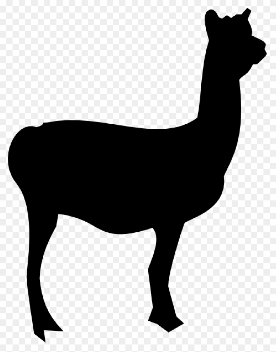 Llama Alpaca Animal - Free Vector G