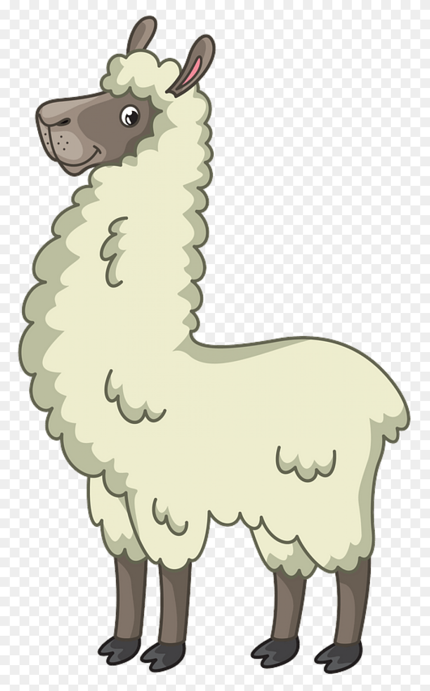 Llama Alpaca Animal - Free Vector G