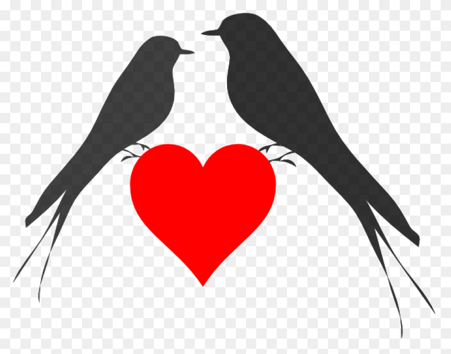 Vector Love Birds On Heart Swirly T