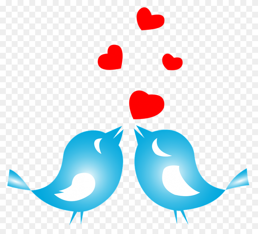 Vector Love Birds On Heart Swirly T