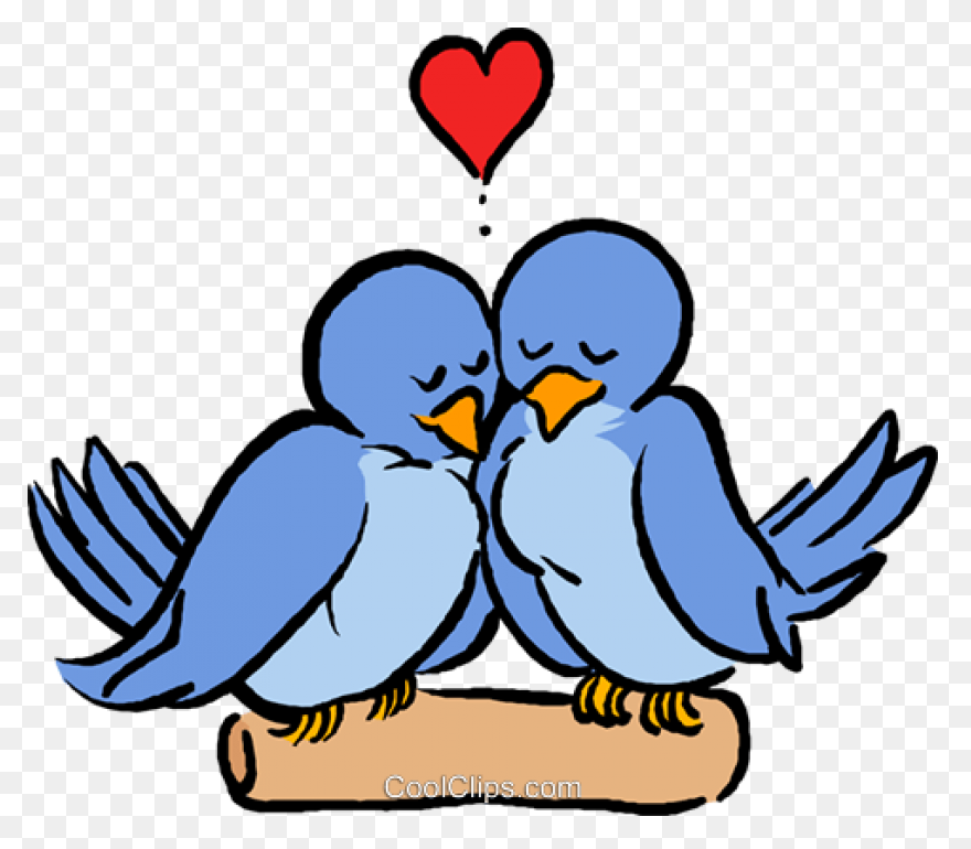 Vector Love Birds On Heart Swirly T