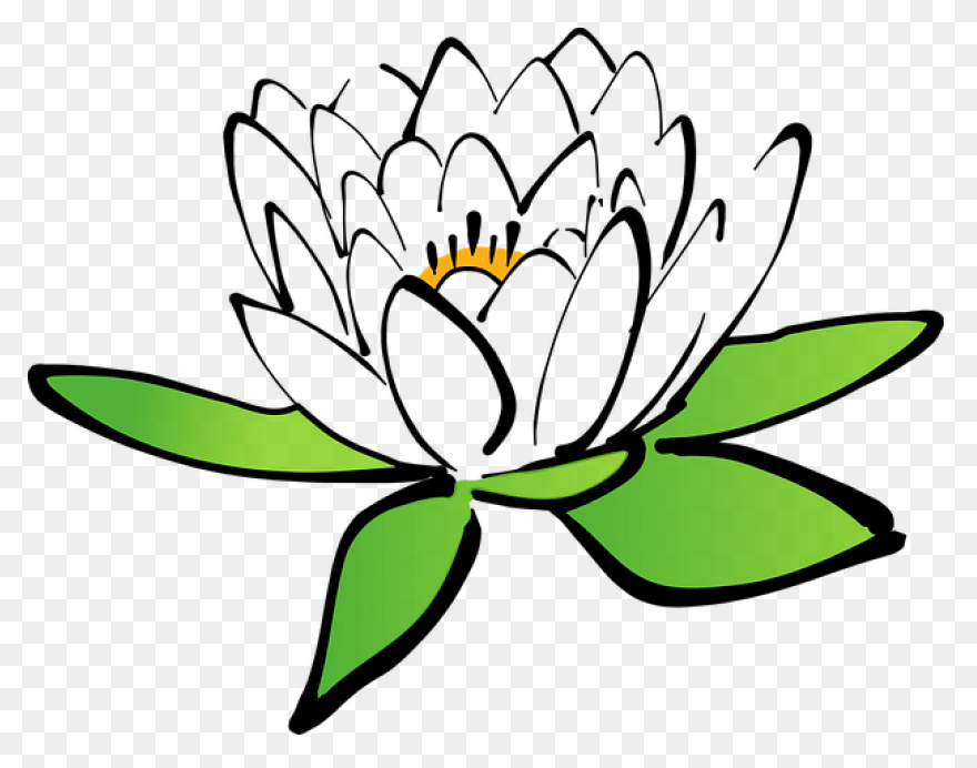 Lotus Flower Png